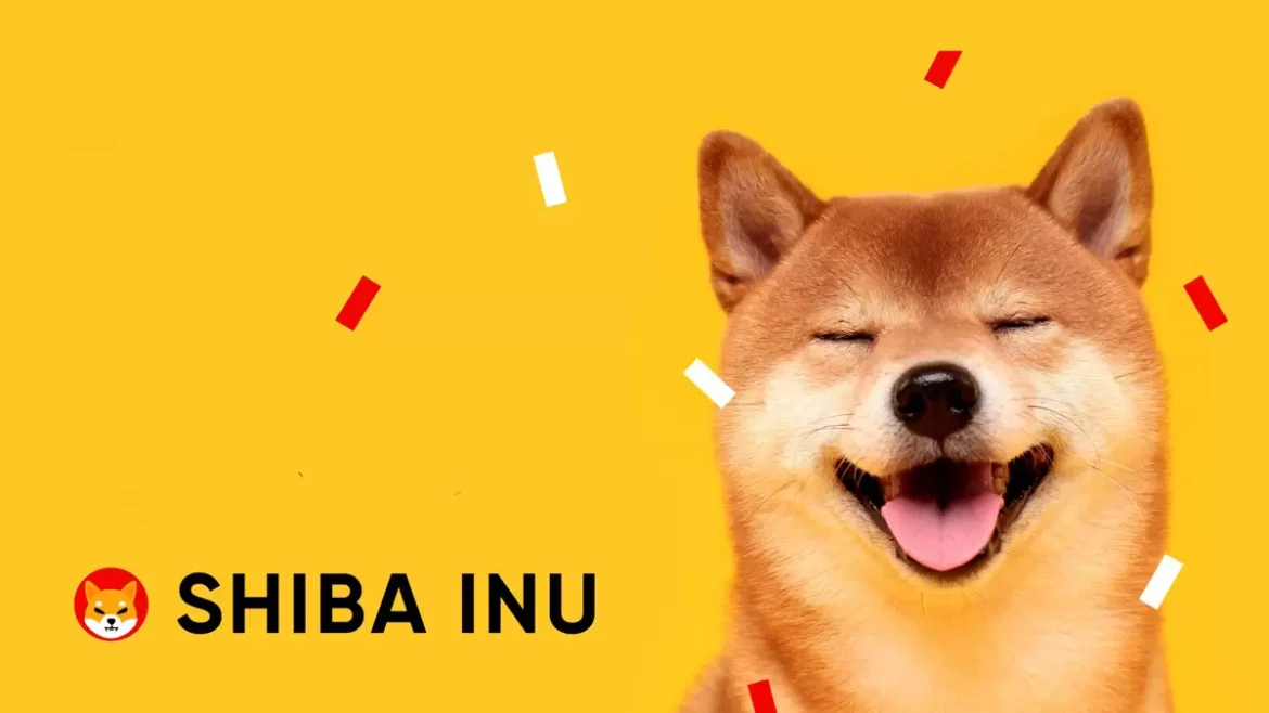 Shiba Inu’nun X Entegrasyonu: Birden Fazla Sorunun Çözümü mü?